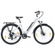Bicicletta elettrica TTGO