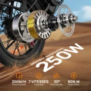 URLIFE E20 Bicicletta elettrica 20 - immagine 3