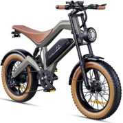 Bicicletta elettrica M20