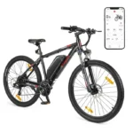 Mountain bike elettrica Eleglide Mopride 2